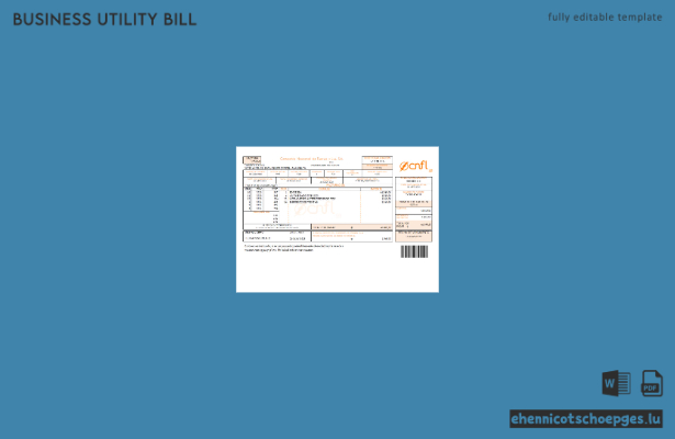 Vorschau einer Beispielrechnung der National Power and Light Company, Inc. (CNFL) für Energieversorger